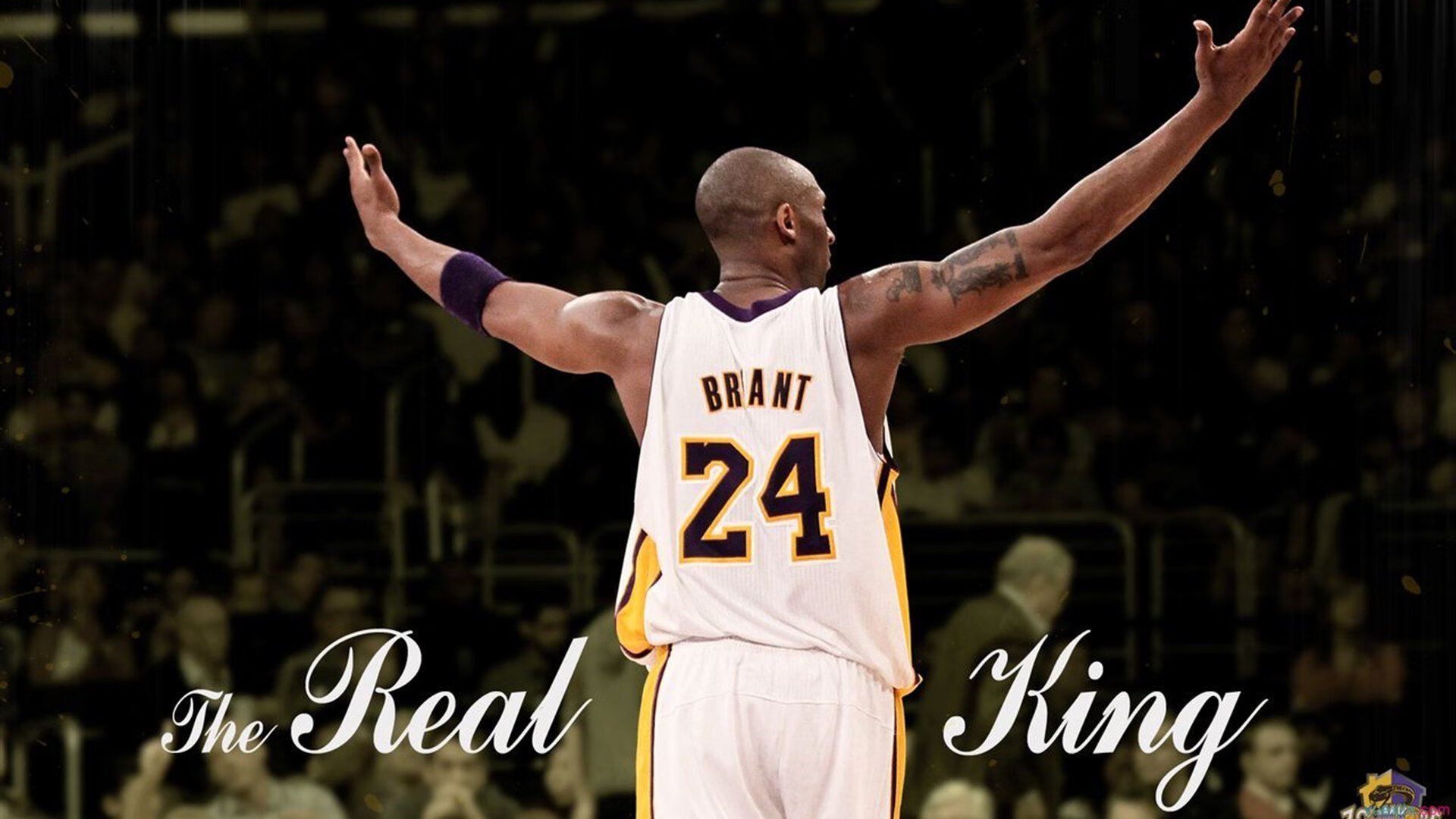 莫莉·奥卡拉汉持续刷新澳洲荣耀，奥斯卡莫利亚